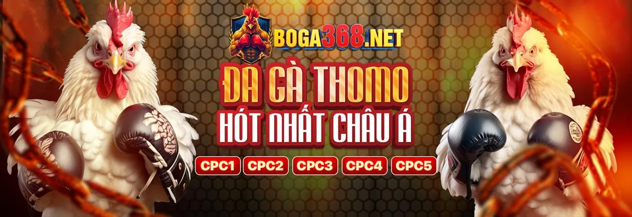 Mẹo Cá Cược Thể Thao H58WIN